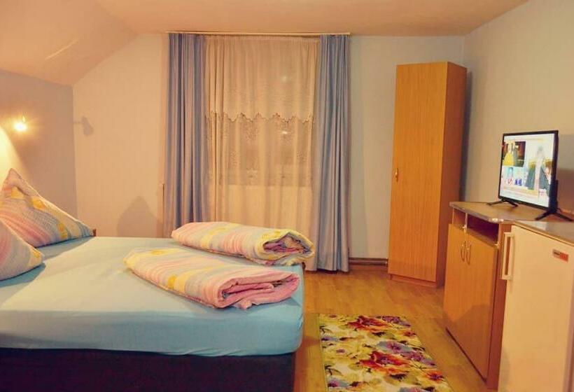 펜션 Denisa & Rares