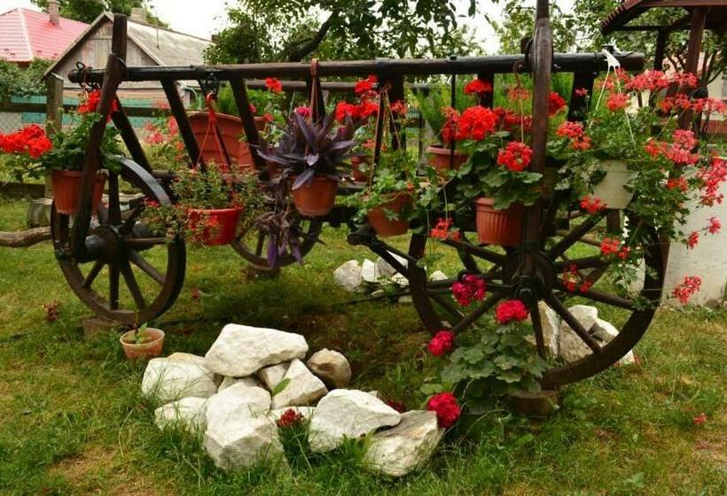 펜션 Denisa & Rares