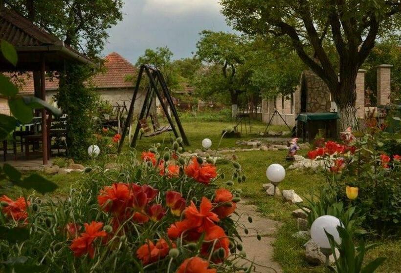 펜션 Denisa & Rares