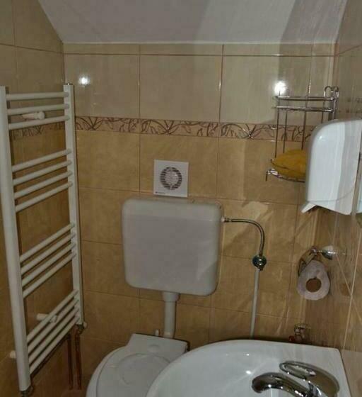 펜션 Denisa & Rares