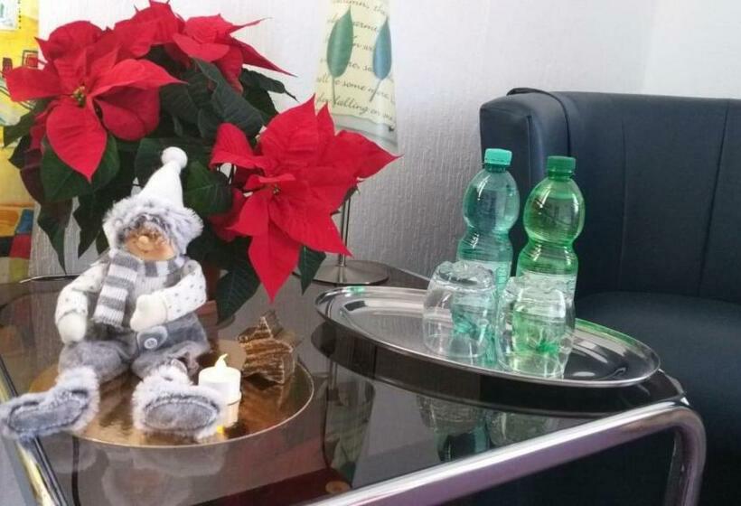 膳宿费 Gästezimmer Siminciuc