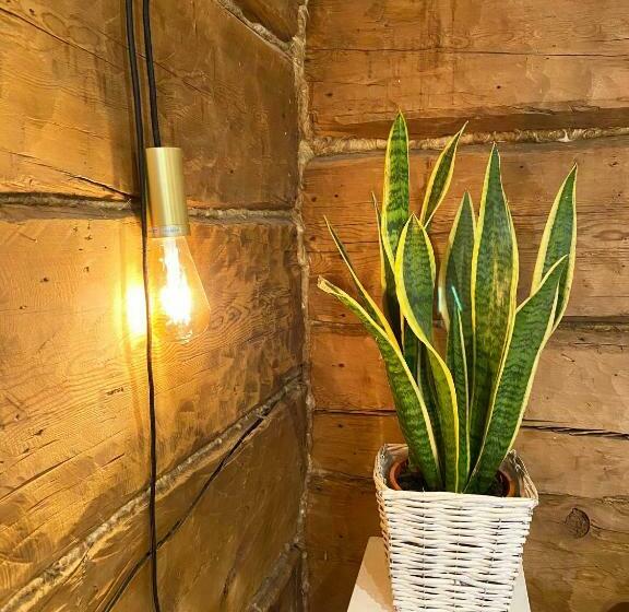 ペンション Lauri Historical Log House Manor