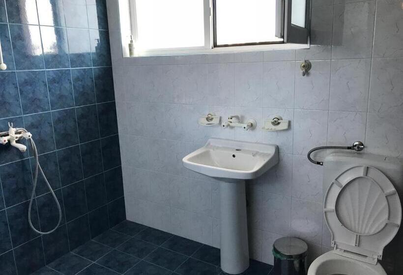 膳宿费 Milena`s House