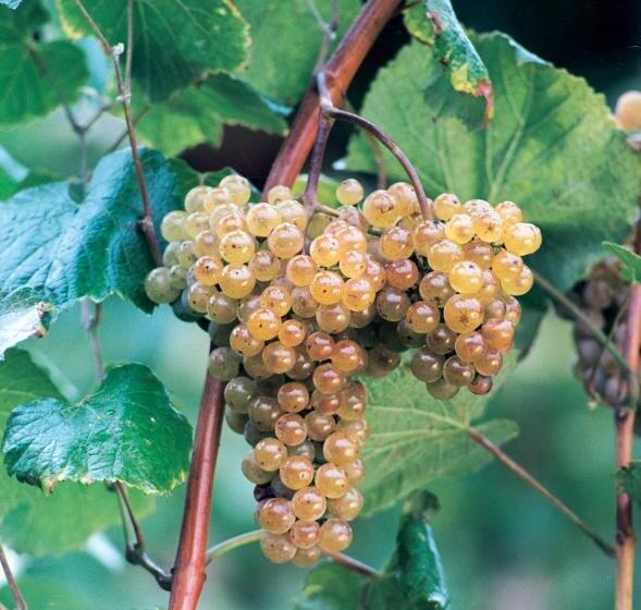 De Charme Casa Fundevila