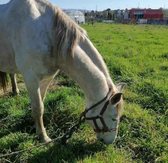 De Charme Casa Fundevila