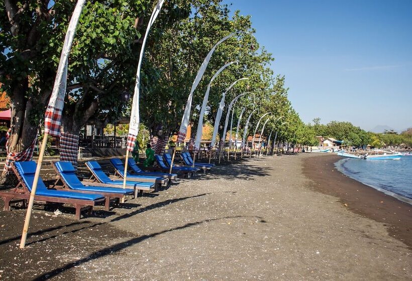 בית מלון כפרי Adi Assri Beach Resort & Spa