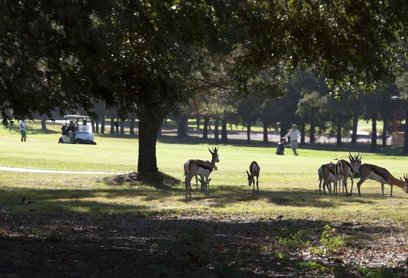 Отель Devonvale Golf & Wine Estate