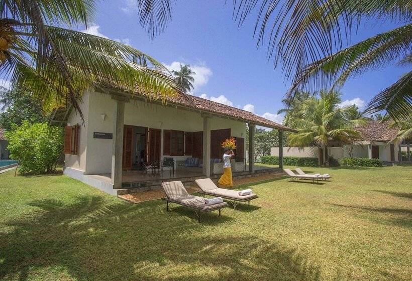 בית מלון כפרי The Frangipani Tree By Edwards Collection