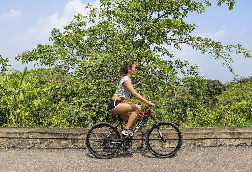 בית מלון כפרי The Frangipani Tree By Edwards Collection