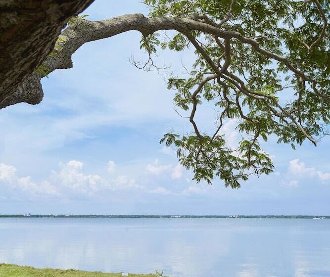 酒店 Jetwing Lagoon Newly Renovated