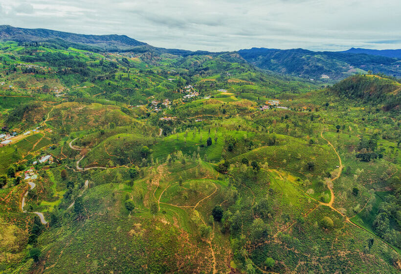 Langdale Boutique Hotel By Amaya