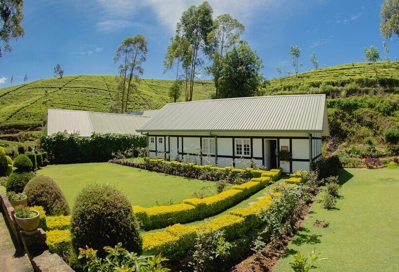 Langdale Boutique Hotel By Amaya