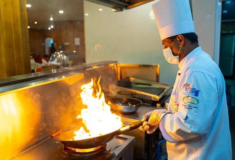 酒店 Olympus Plaza