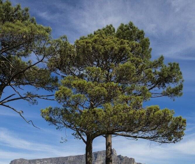 Radisson Hotel Cape Town Foreshore