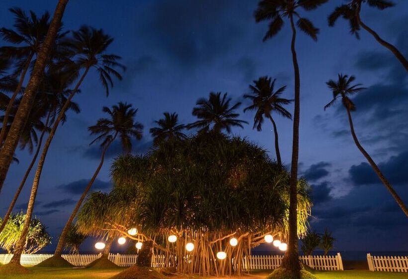 Отель Serene Pavilions