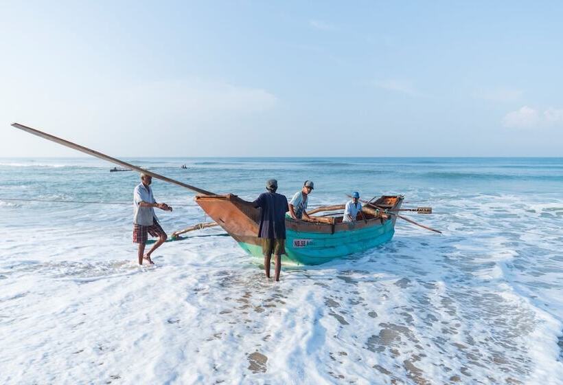 Отель Serene Pavilions