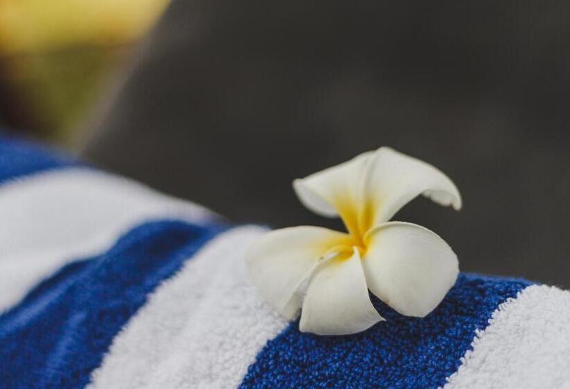 Отель Sigiriana Resort By Thilanka