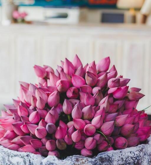 Отель Sigiriana Resort By Thilanka