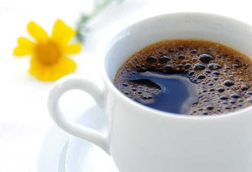 هتل Svenska Design