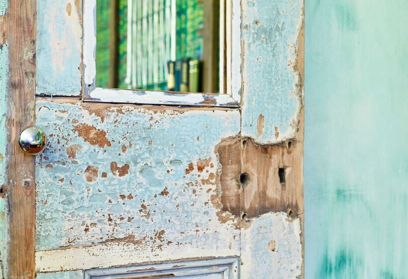 فندق Sweet Olive Guesthouse