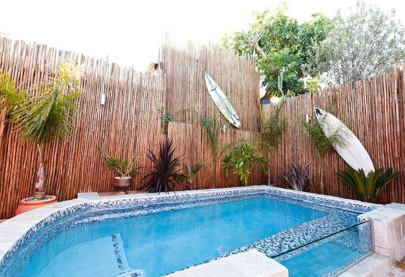 فندق Sweet Olive Guesthouse