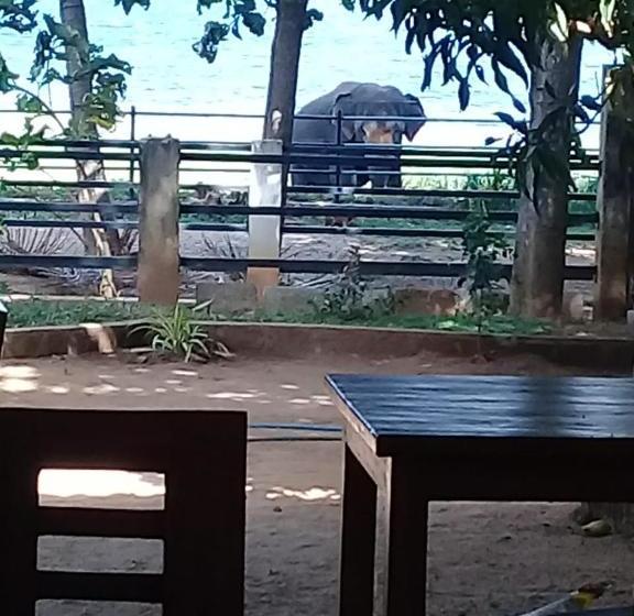 Отель Nildiya Lake