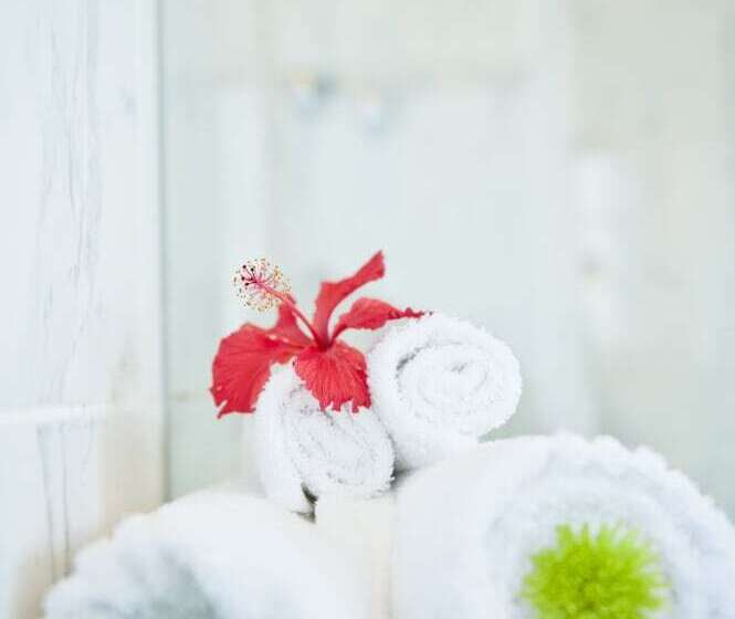 בית מלון כפרי Saint James On Venice