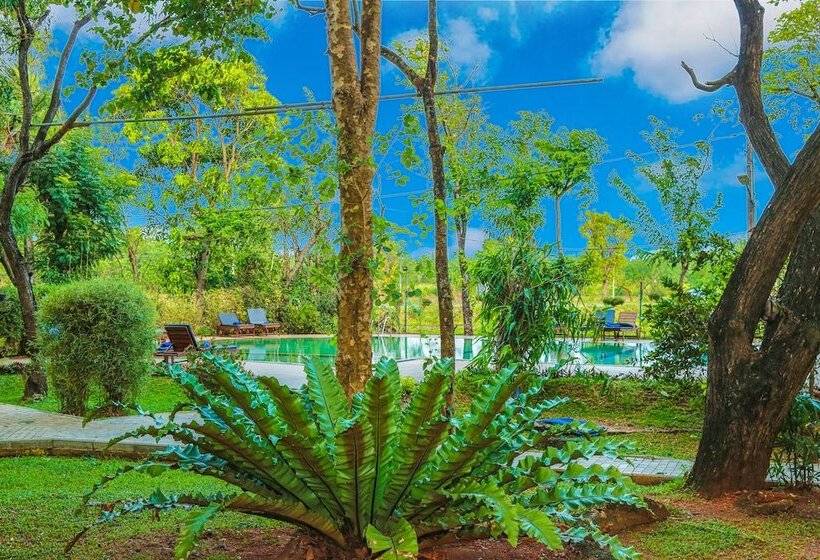Pelwehera Village Resort