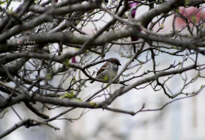 Quinta Do Burgo   Nature