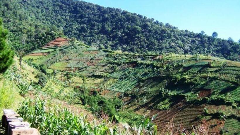 Talita Resort Ciloto Puncak