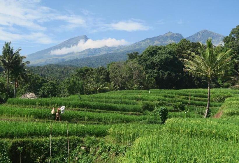 הוסטל Budaya Kaki Rinjani