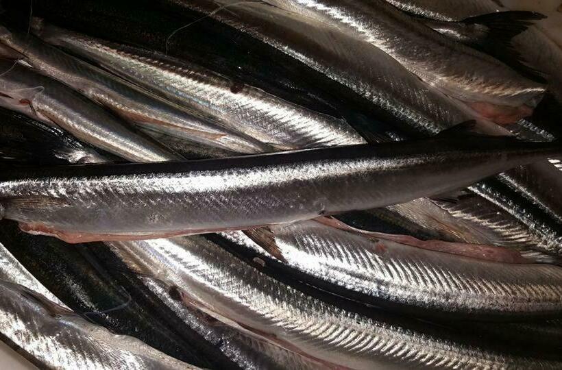 Общежитие Gästehaus & Restaurant Seemannshus