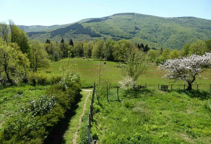 Bed and Breakfast B And B Sycomore, La Bouriotte