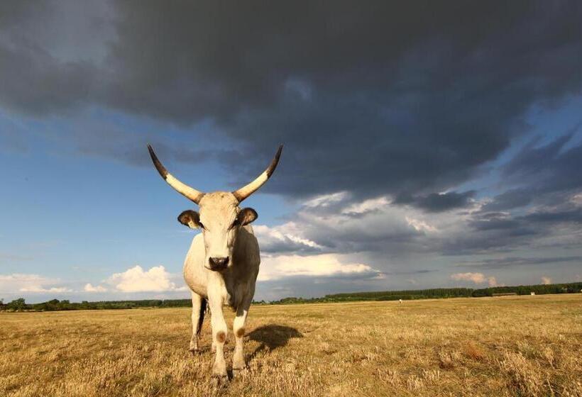 مبيت وإفطار Bibic Nature Lodge