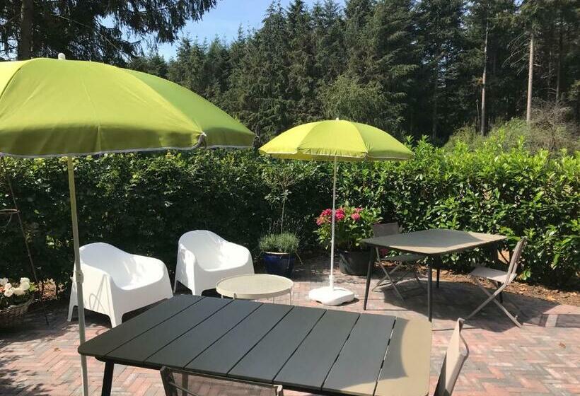 مبيت وإفطار Bij Zelle