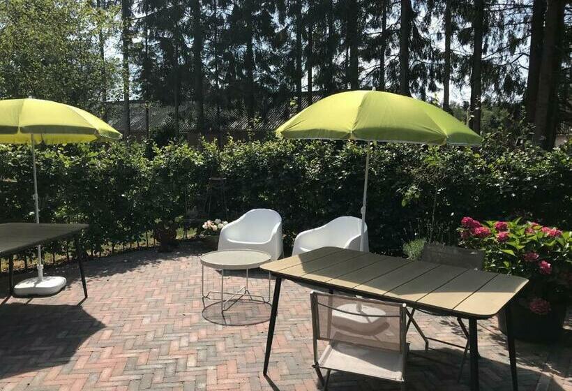 مبيت وإفطار Bij Zelle