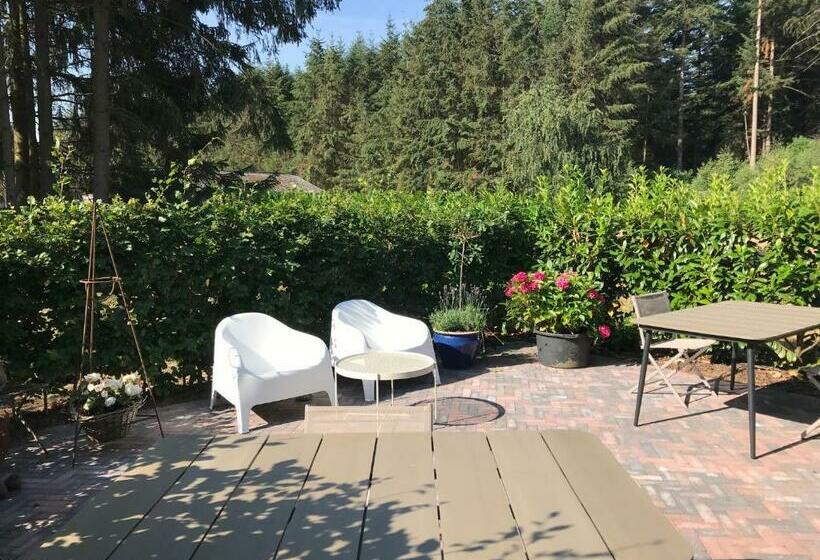 مبيت وإفطار Bij Zelle