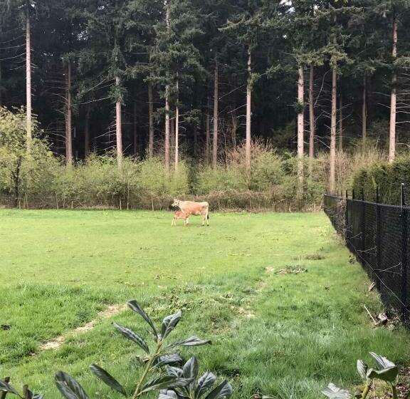 مبيت وإفطار Bij Zelle