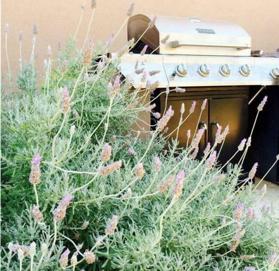 Bed and Breakfast Entre Mer Et Montagne