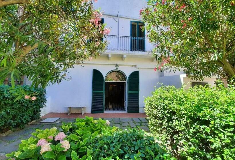 Il Giardino Nascosto B&b