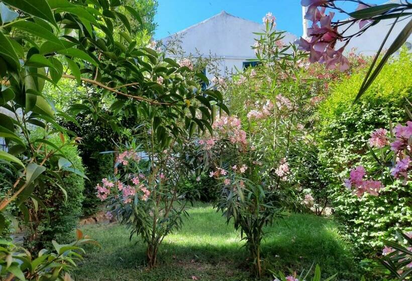 Il Giardino Nascosto B&b