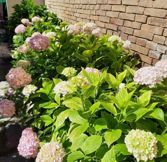 Il Giardino Nascosto B&b