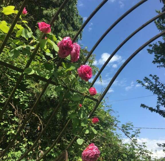 住宿加早餐  Le Cottage Mirabelle