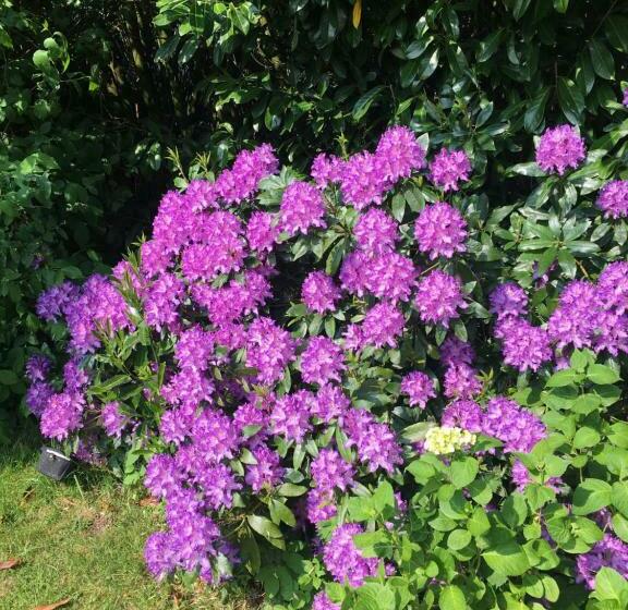 住宿加早餐  Le Cottage Mirabelle