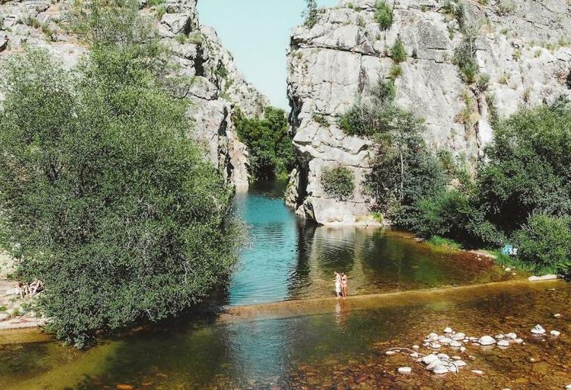 住宿加早餐  Magnolias Cottage