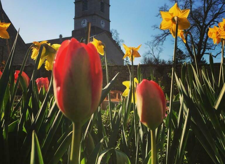 ベッドアンドブレックファースト Chambres D Hôtes Les Filles Tresy