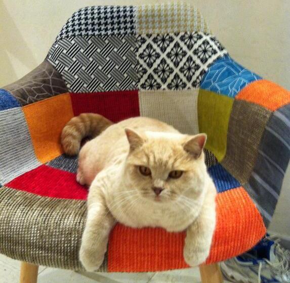 مبيت وإفطار Mas Lou Piastoun