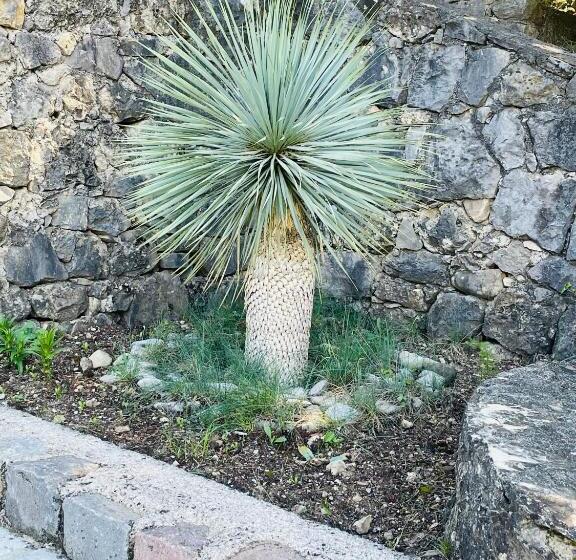 مبيت وإفطار Mas Lou Piastoun