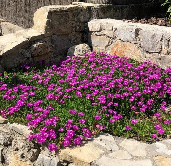 مبيت وإفطار Mas Lou Piastoun