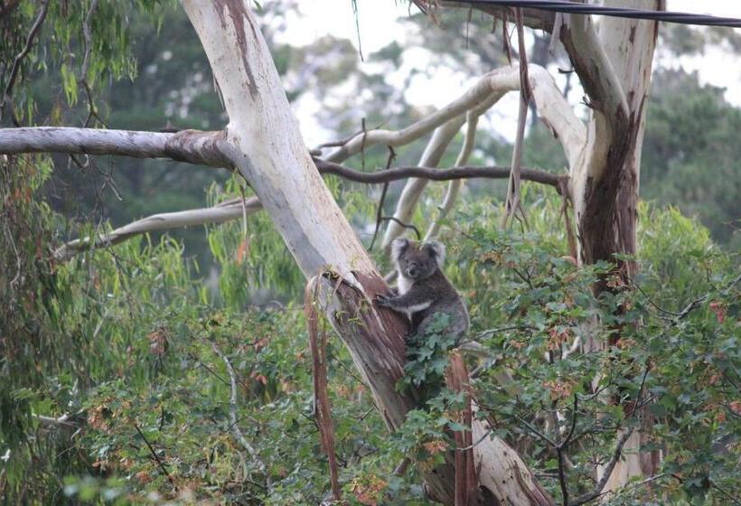 مبيت وإفطار Pirralilla Estate Adelaide Hills